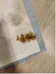 治疗过程